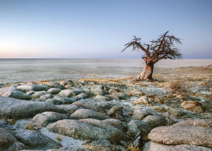 Makgadikgadi Pans National Park