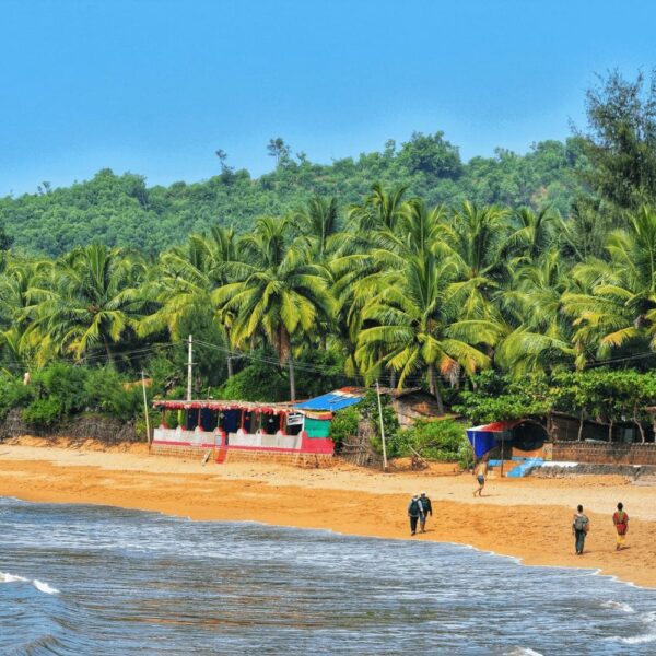 Top 5 Places To Visit In Goa