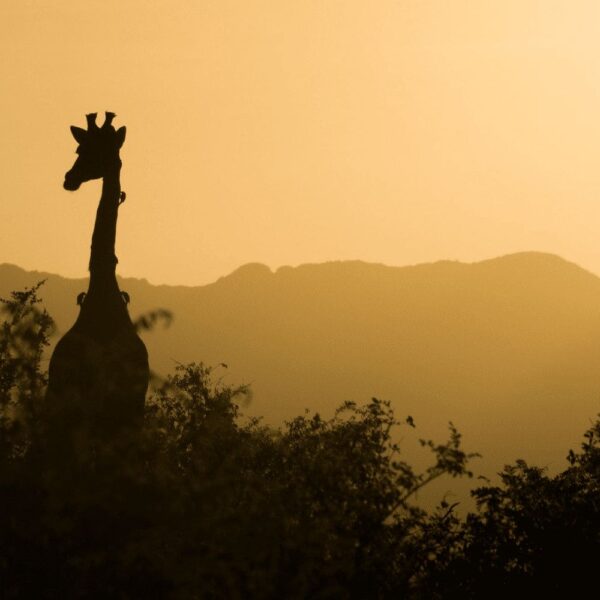 Top 5 Places To Visit In South Africa