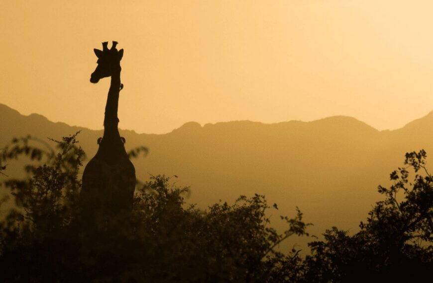 Top 5 Places To Visit In South Africa