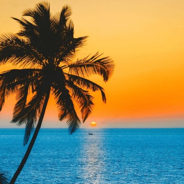 Tourist Attractions Of Goa