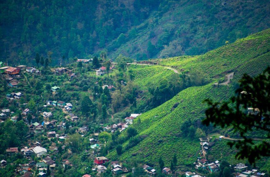 Famous Local Foods In Darjeeling