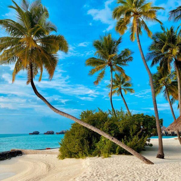 Top 5 Beaches Around The World