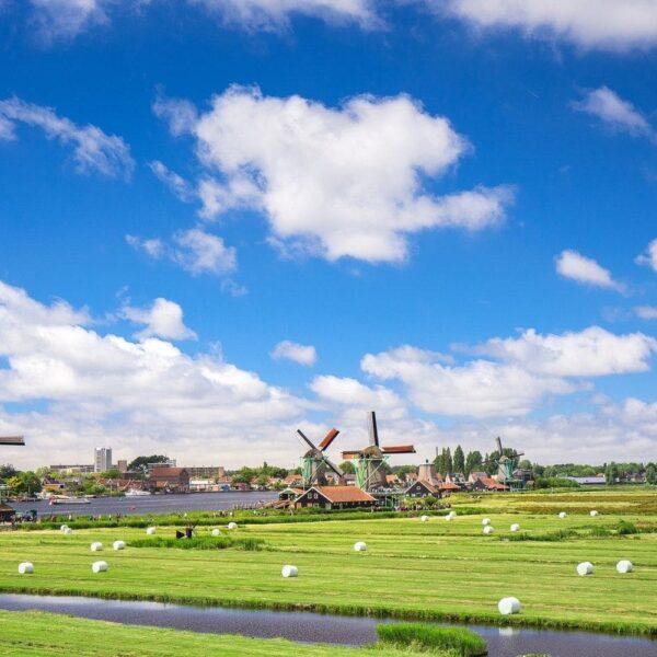 Top 5 Gardens In The Netherlands