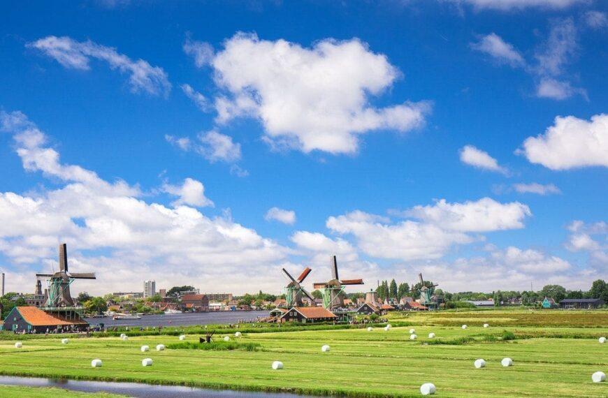 Top 5 Gardens In The Netherlands