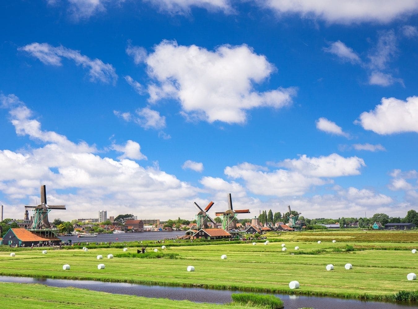 Top 5 Gardens In The Netherlands