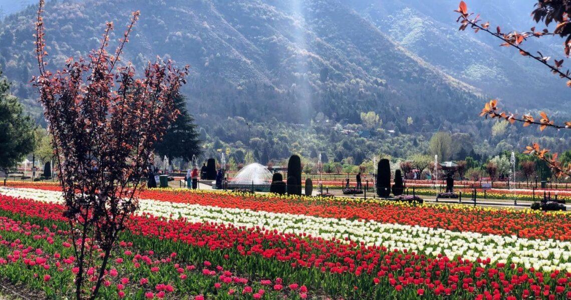 Top 5 Places To Visit In Kashmir