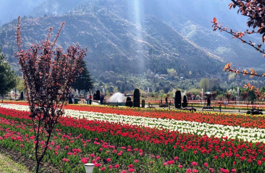 Top 5 Places To Visit In Kashmir