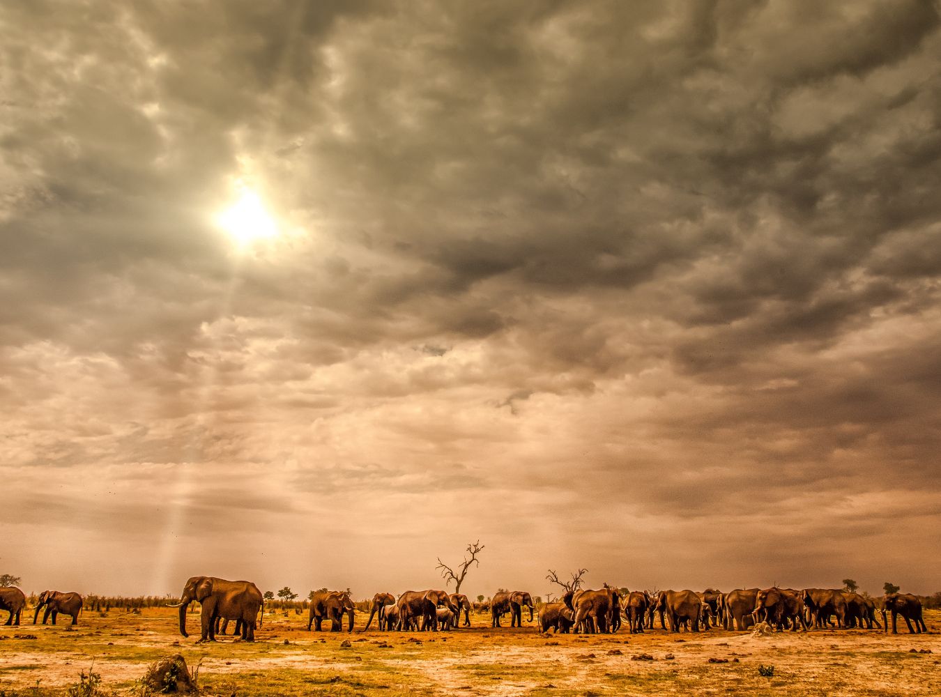 Botswana